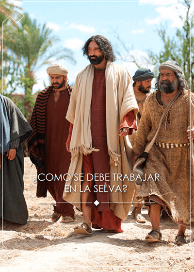 Pasajes Biblicos